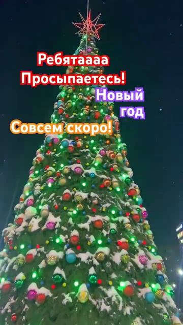 Ребята через сколько Новый год?#популярное #настякош #?