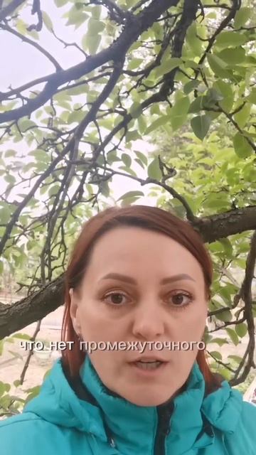 VID_20250509_144830_360.mp4