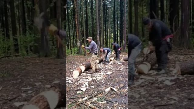 ПОРУБАС # 41 02.05.25 МИТИНО (ИННА, ФЕДОР, АЛЕКСАНДР, АЛЕКСЕЙ, АЛЕКСАНДР, ИЛЬДАР)