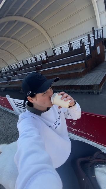 Ну что есть, то есть) #horse #лошади #equestrian #лошадь #конныйс