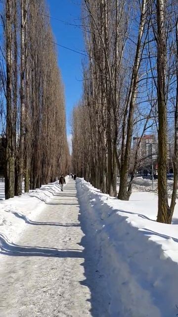 16.02.2021 Пенза