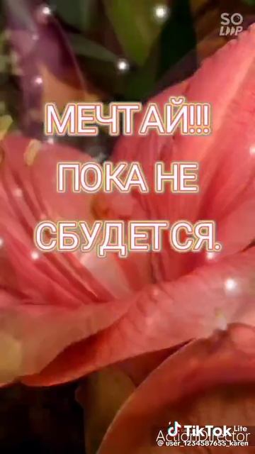 Живи пока смысл есть