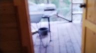 VID-20250509-WA0002.mp4