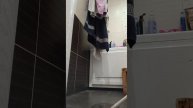 1000000995.mp4