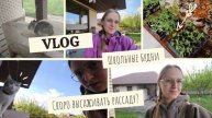 VLOG Школьные будни📚 Скоро высаживать рассаду?
