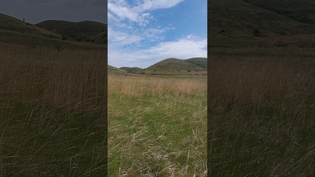 Подвальские террасы в Самарской области