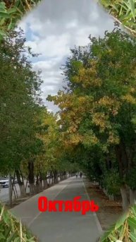 осень #октябрь