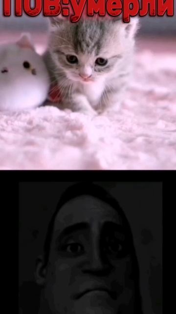 после этого видео хочется плакать😭😓😰😥😢