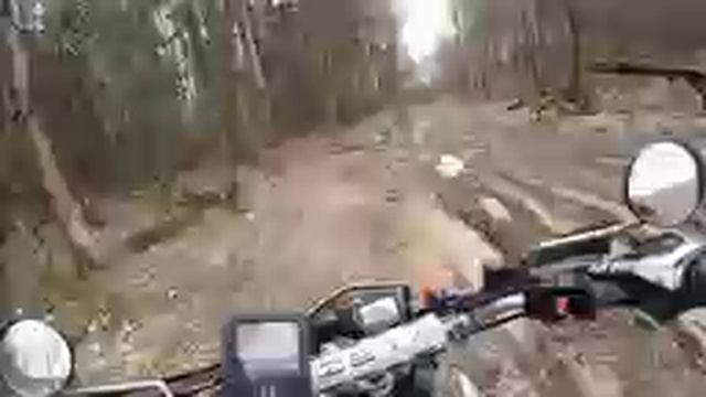 Еду по грязи в лесу 2