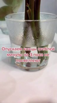Оживляем розы 🌹