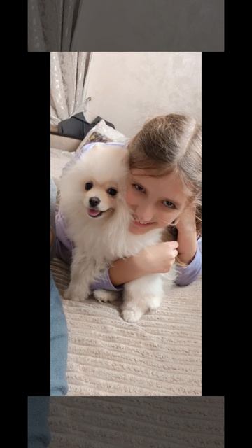 новое видео