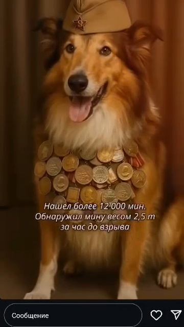 80 ЛЕТ ПОБЕДЫ