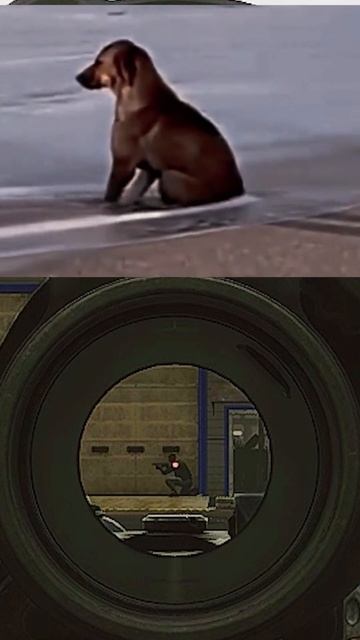 граната под ноги  #тарков #tarkovmoments #tarkovmemes