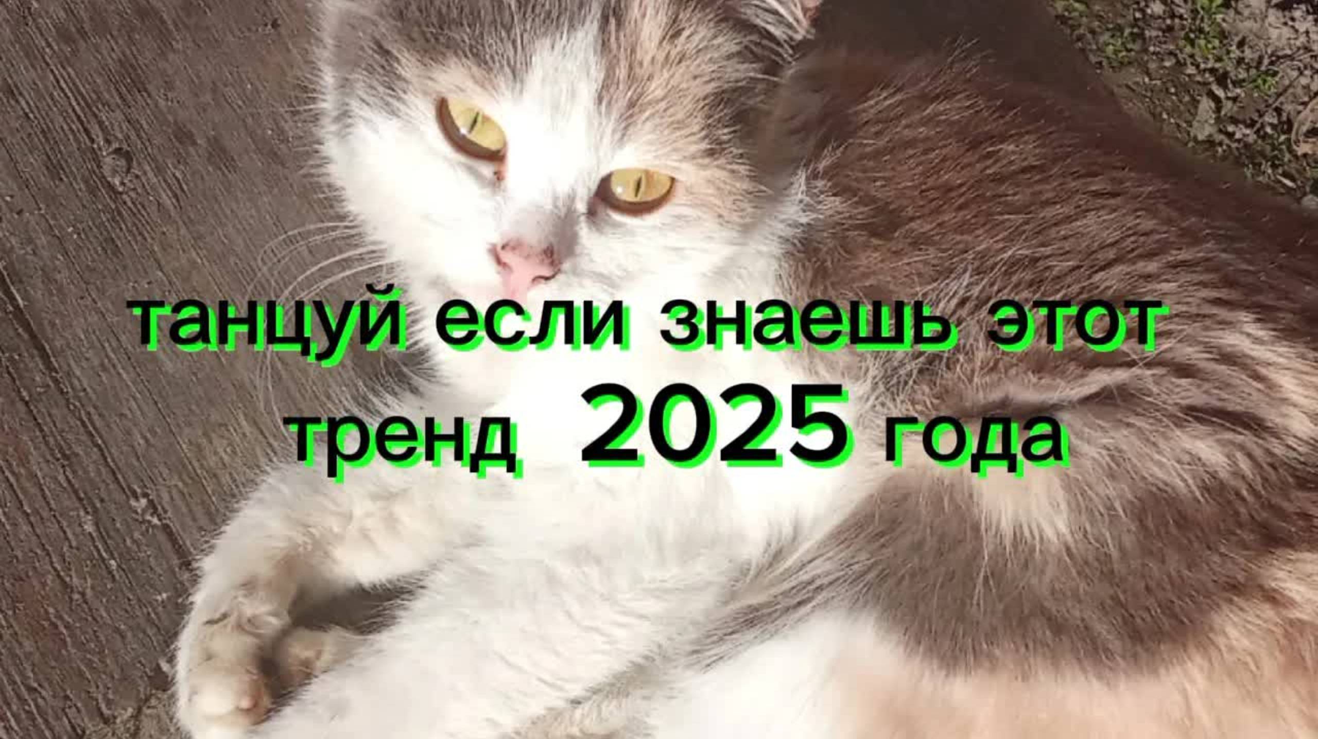 🌈Танцуй если знаешь этот тренд 2025 года🌈