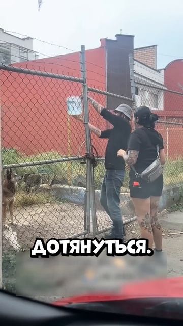 Забытый хозяином пёс не ел два дня, пока не пришла эта ?