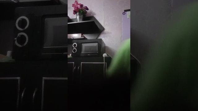 алиса кошка мяу и подруга 😚