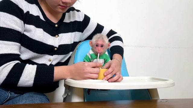 Обезьянка БУКАШКА КРОШКА прописала маме кушать Пьет свежий сок манго трубочкой Лежит в гамаке не дви