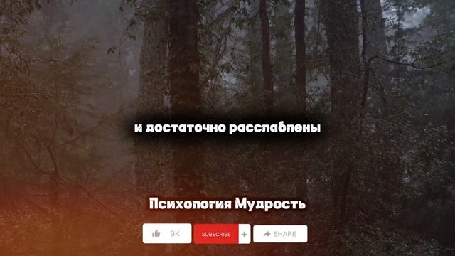 Как заставить девушку хотеть тебя: 5 простых шагов
