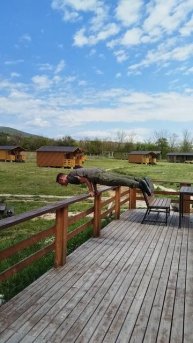 Баланс