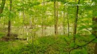 66_Велопробег Бицевский парк_180621