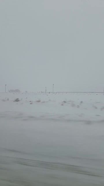 строят железную дорогу до деревни Горьковская Омская