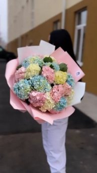 Гортензия Премиум! 9550₽ т. #flowers 89284364288