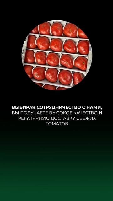 Доставка узбекских томатов по москве