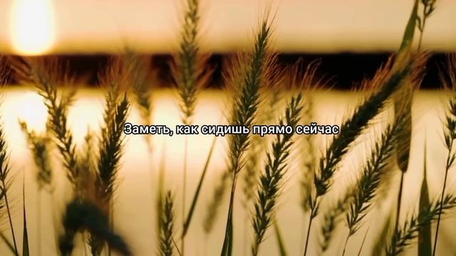 25 привычек, которые изменят твою жизнь за 30 дней