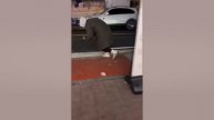 САМЫЕ_НЕЛЕПЫЕ_МОМЕНТЫ,_СНЯТЫЕ_НА_КАМЕРУ6345634