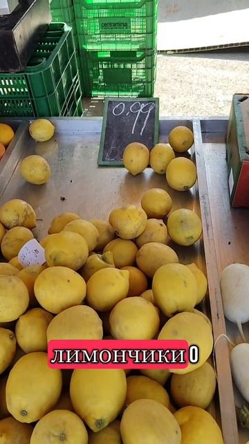 Цены в Испании Торревьеха
