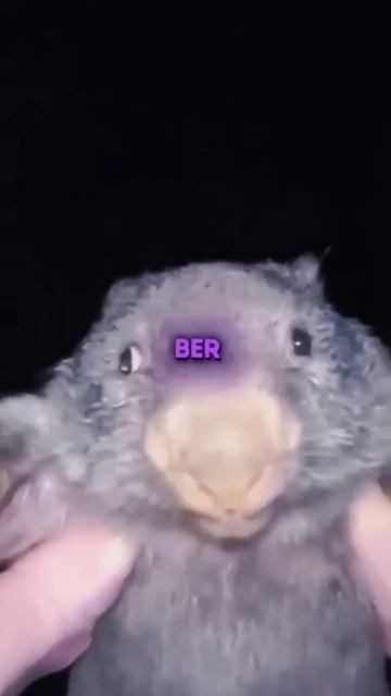 всу