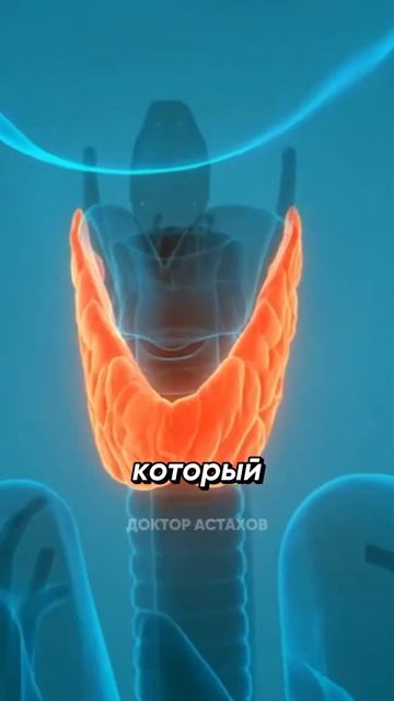 🥗 ЛУЧШИЕ суперфуды 21 века!