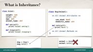 44. Inheritance in Python Overview