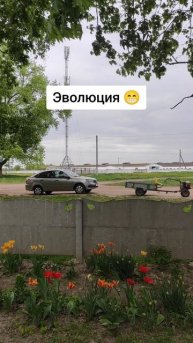 Эволюция.