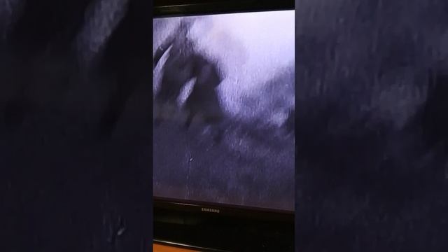 видео про наших дедов,прадедов.