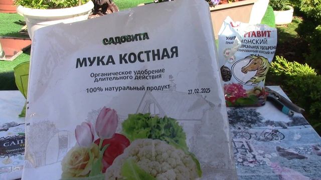06.05.2025 г. Волгоград. Рассада. Удобрение, подготоака грунта к ее высадке