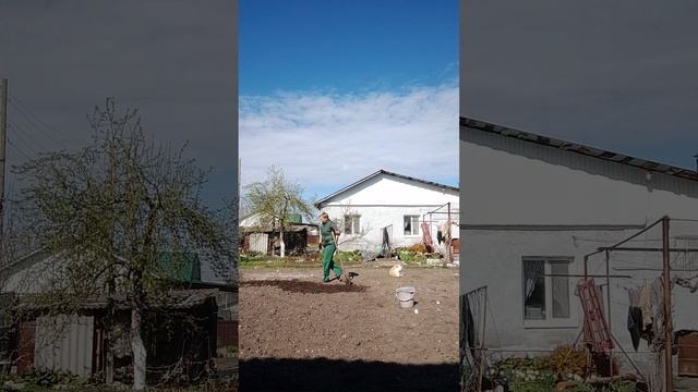опять копаю огород