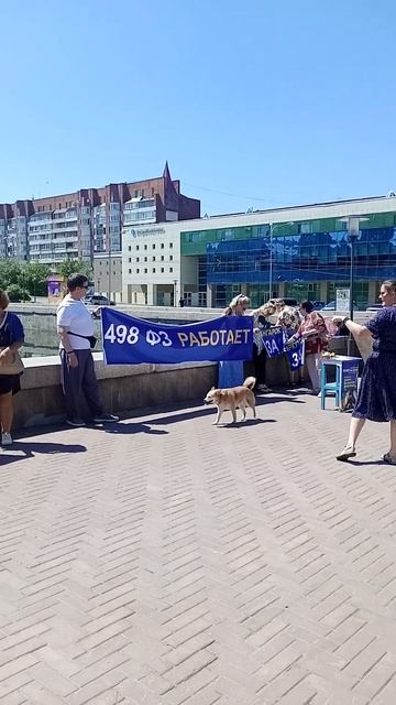 У них тоже есть право на жизнь. Ты можешь помочь бездом