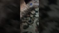 VID_20250509_110431.mp4