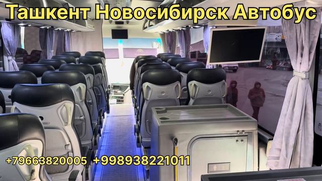 ташкент-новосибирск автобус #новосибирск  #кемерово #б