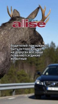 Водителей призывают быть осторожными, на дорогах все ?