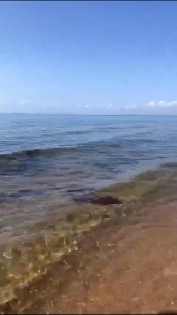 Ржавый камень на берегу моря