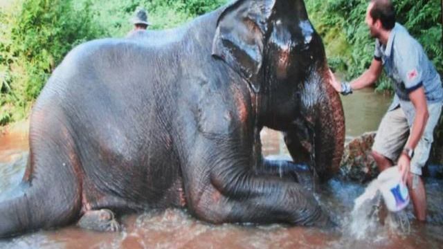 Таиланд, Чианграй, Чианграй - Elephant at Karen Village Homestay 1 Star