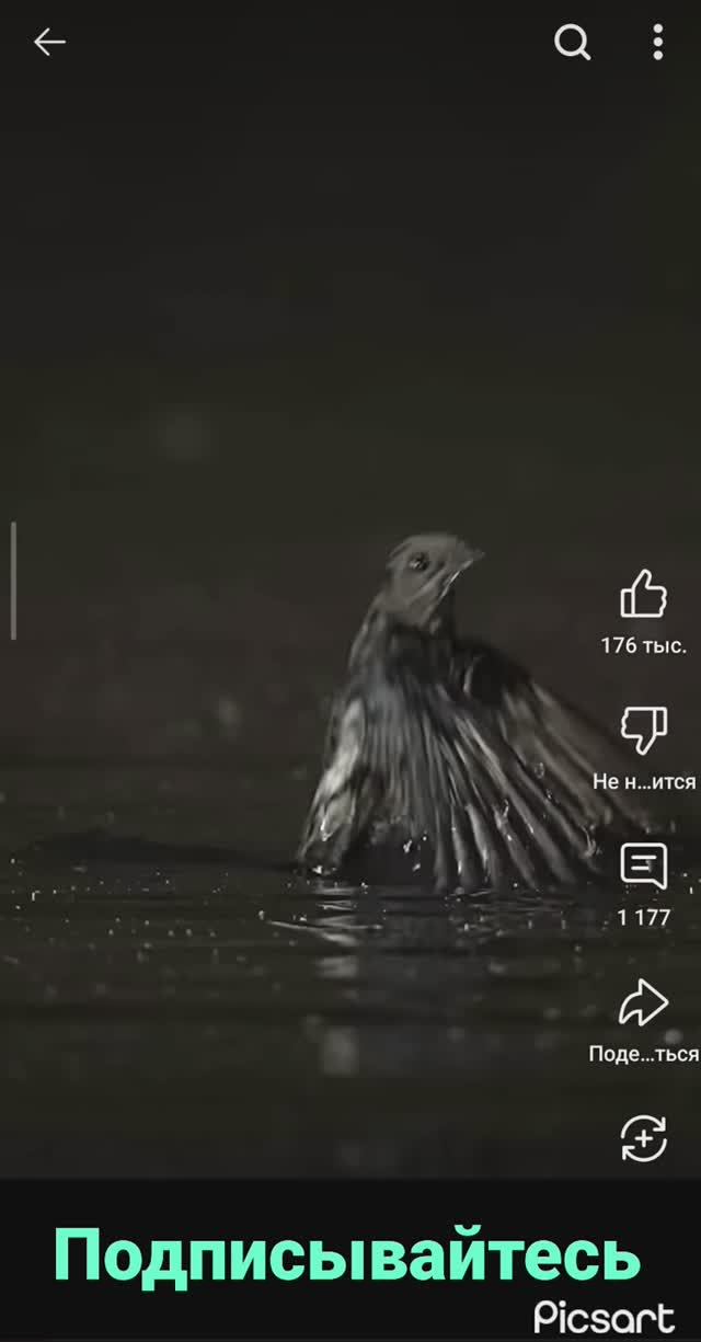 Держись подальше от воды!