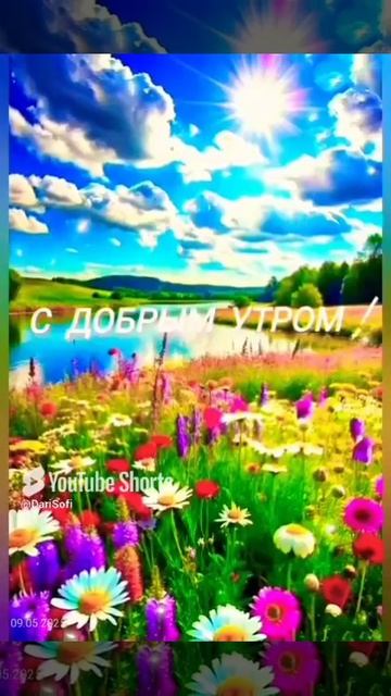 VID_20250509184943