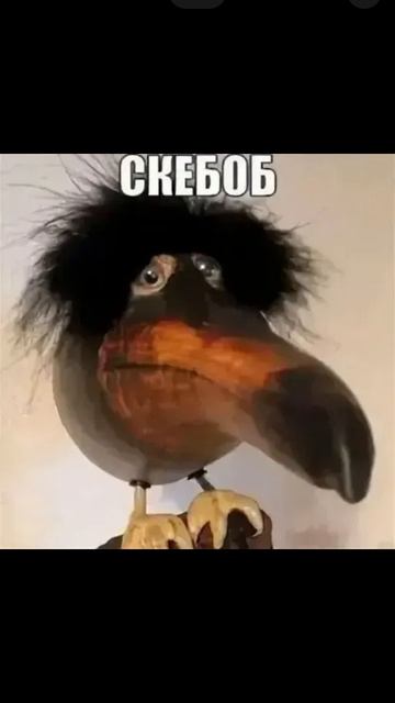 моё итальянское животное