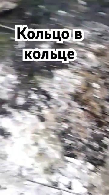 Кольцо в кольце