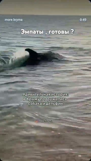 Здесь есть эмпаты ? #джаннинавладимирова #новости #ожи?