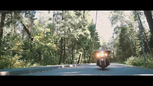 Свадебный клип INSTA | Варвара и Владимир