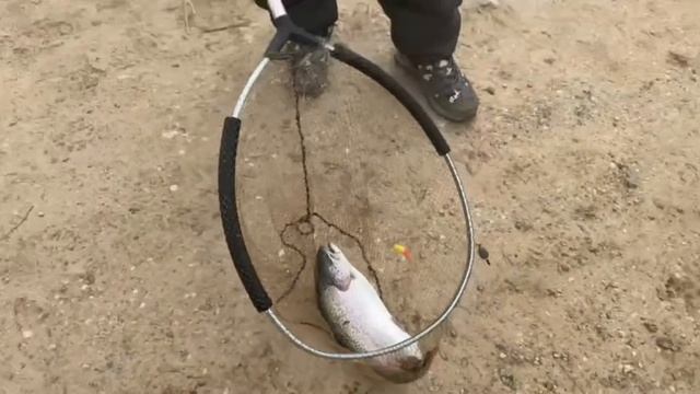 Онлайн с водоема